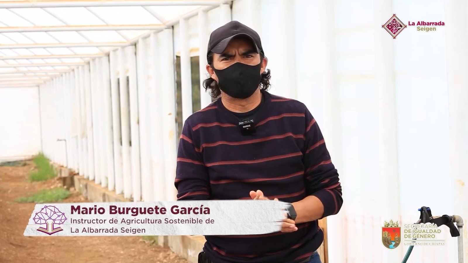 ¿Cómo cuidar nuestros huertos de sandía?